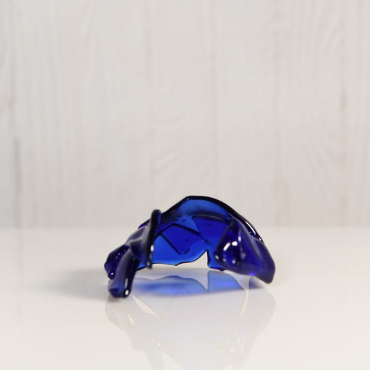 Tiny Aquarium Fish Cave