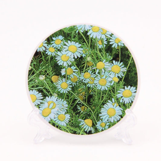 Chamomile Flowers 3 inch Round Premium Vinyl Sticker