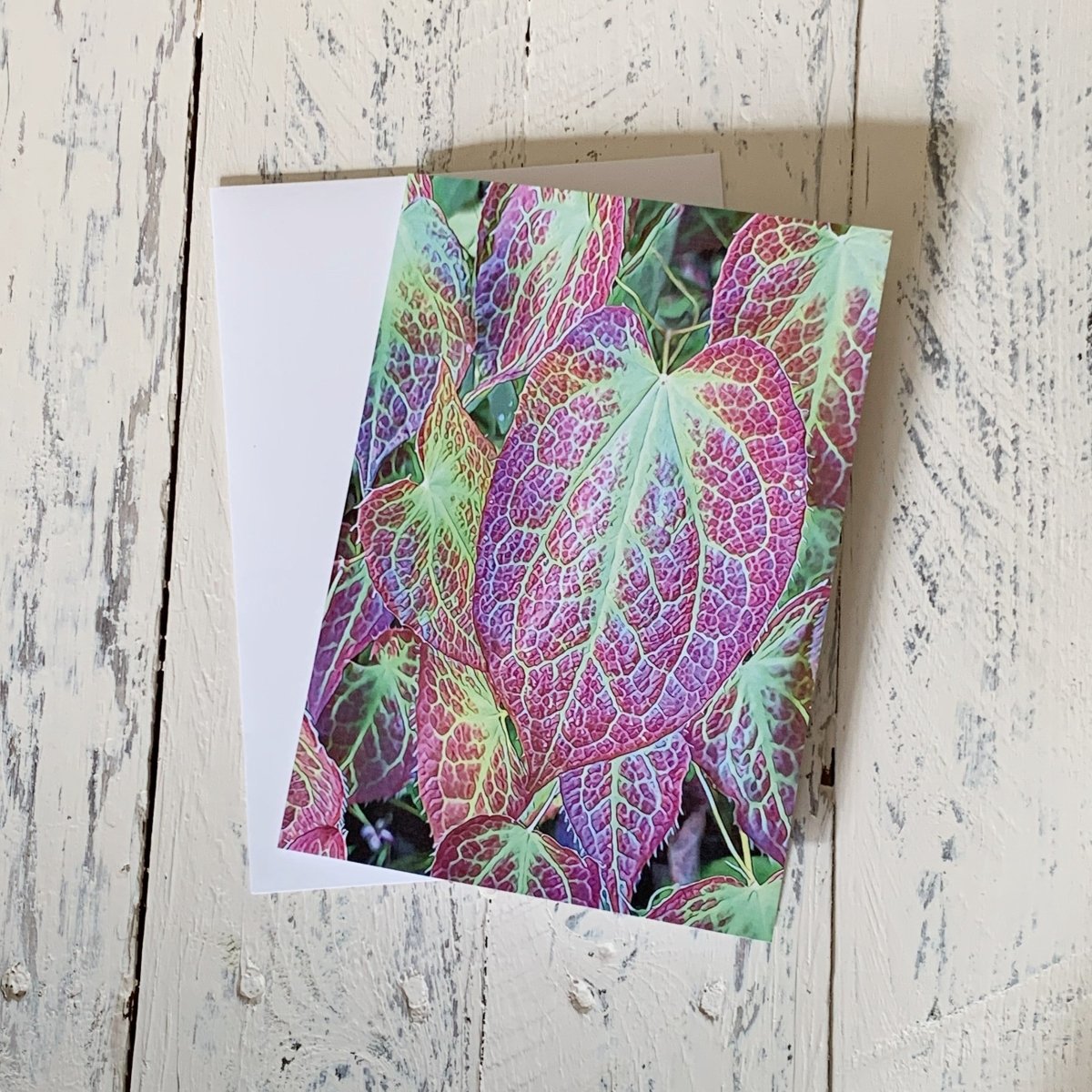 Epimedium Fall Leaves, Blank Greeting Card, Garden Woodland Groundcover