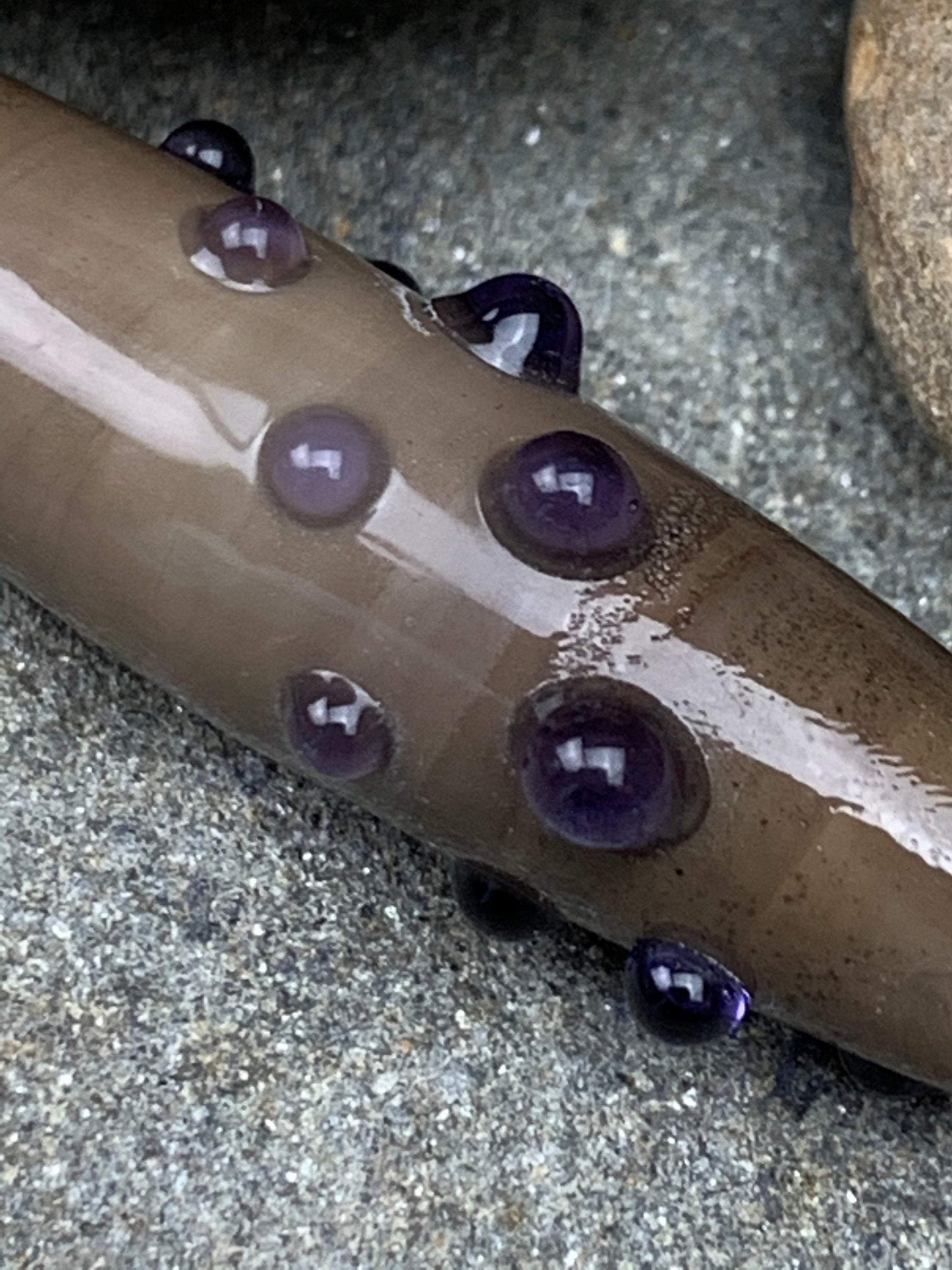 a handmade lampworked glass bead with purple dots on sage gray background