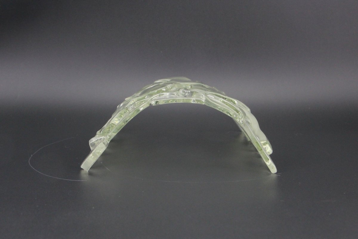 Large Aquarium Fish Tunnel