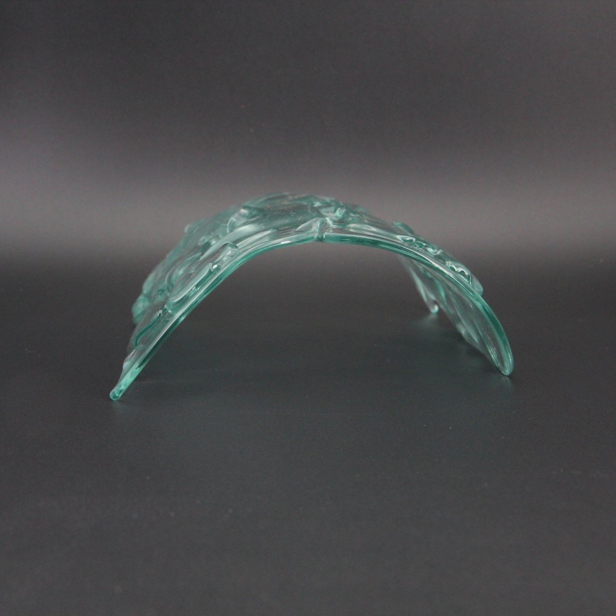 Large Aquarium Fish Tunnel