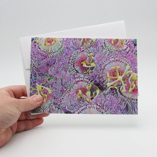 Maypop Passion Flowers, Blank Greeting Card, North American Native Plant