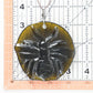 Big Bee Suncatcher
