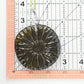 Sunflower Suncatcher