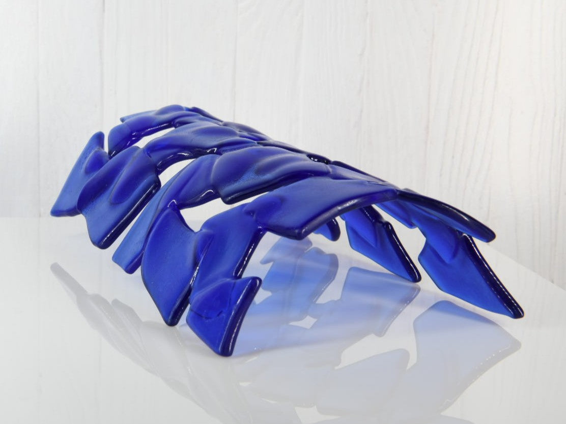 Large Aquarium Fish Tunnel