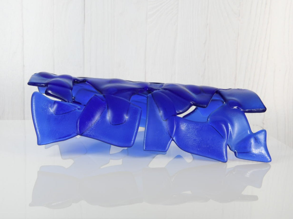 Large Aquarium Fish Tunnel