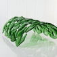 Large Aquarium Fish Tunnel