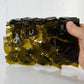 Large Aquarium Fish Tunnel