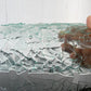 Large Aquarium Fish Tunnel