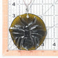 Big Bee Suncatcher