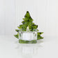 Christmas Tree Candle Holder from Upcycled Wine Bottle