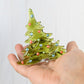 Christmas Tree Candle Holder from Upcycled Wine Bottle