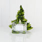 Christmas Tree Candle Holder from Upcycled Wine Bottle