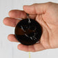 Flying Pig Suncatcher