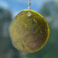 Honeycomb with Small Bees Recycled Bottle Bottom Suncatcher