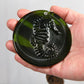 Seahorse Recycled Bottle Bottom Suncatcher