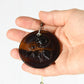Sunflower Pair Suncatcher