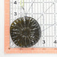 Sunflower Suncatcher