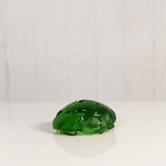 Tiny Aquarium Fish Cave