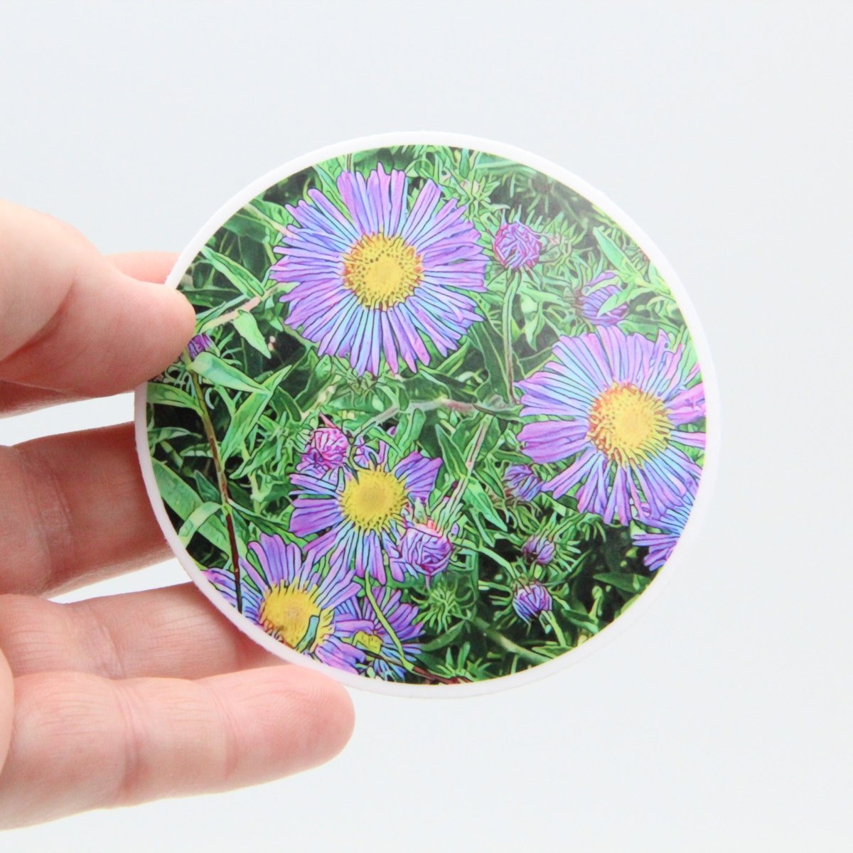 Aster Flowers 3 inch Round Premium Vinyl Sticker