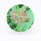 Milkweed Flower with Bee 3 inch Round Premium Vinyl Sticker