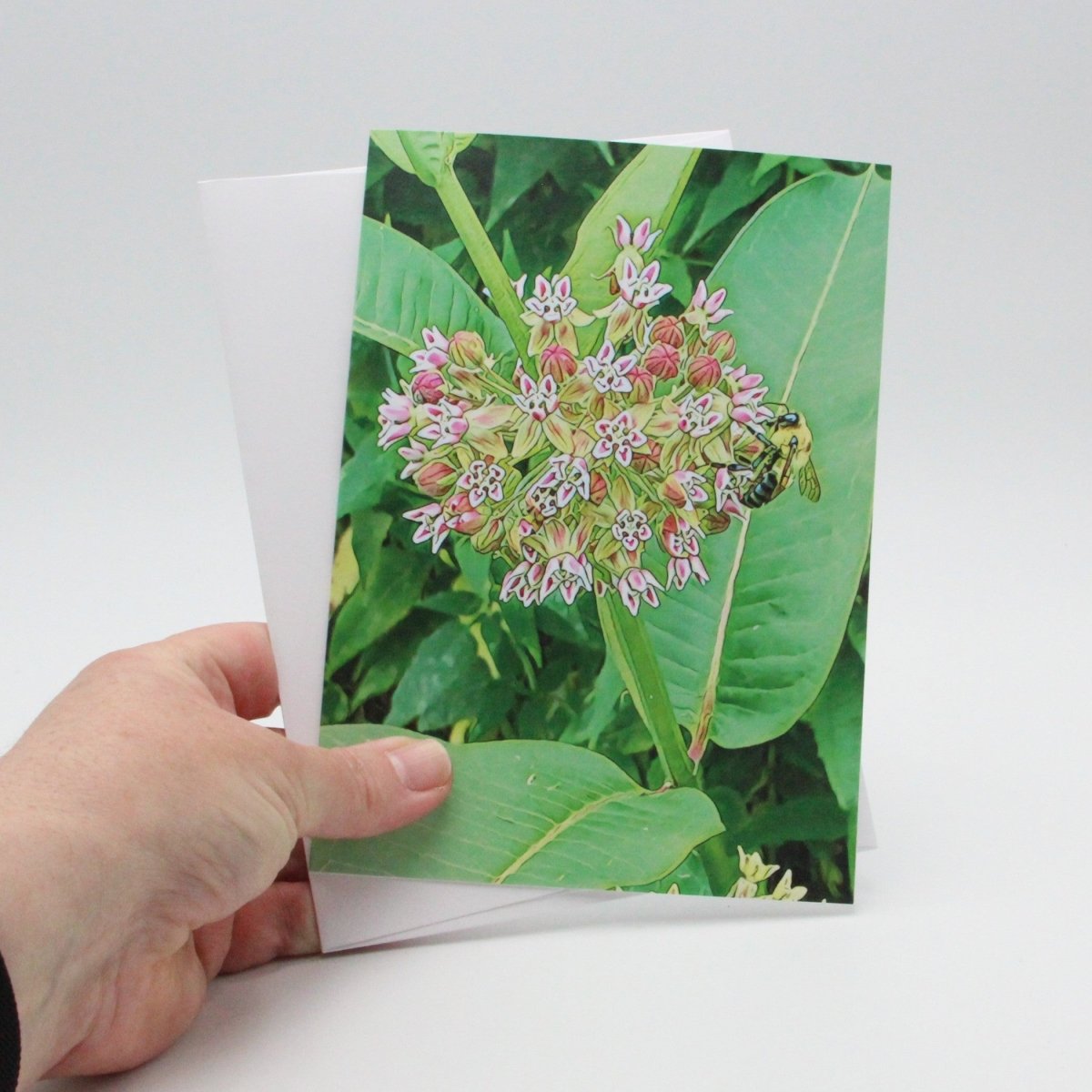 Milkweed Flower with Bumble Bee, Blank Greeting Card, North American Native Plant