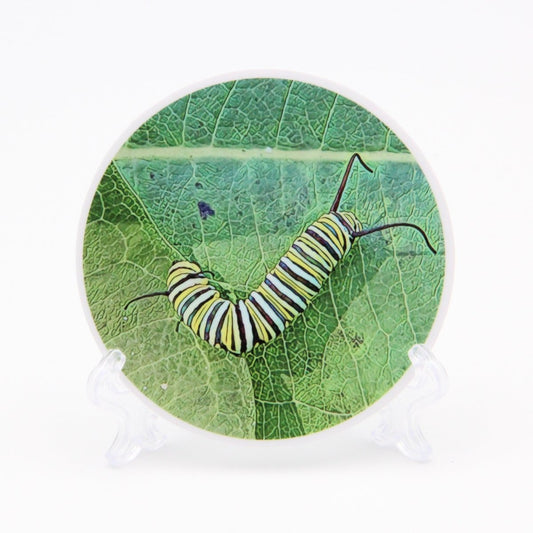 Monarch Caterpillar 3 inch Round Premium Vinyl Sticker