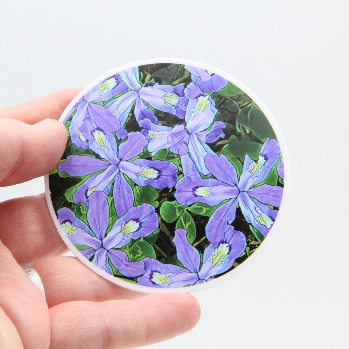 Native Iris Flowers 3 inch Round Premium Vinyl Sticker