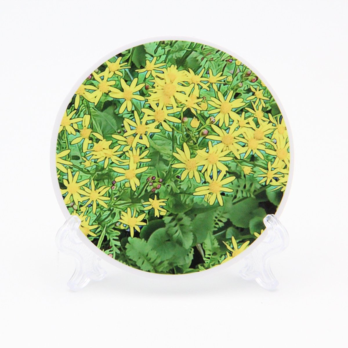 Packera Aurea Flowers 3 inch Round Premium Vinyl Sticker