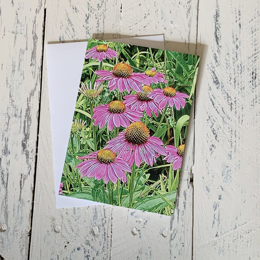 Purple Coneflowers, Blank Greeting Card, North American Native Pollinator Plant