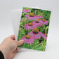 Purple Coneflowers, Blank Greeting Card, North American Native Pollinator Plant