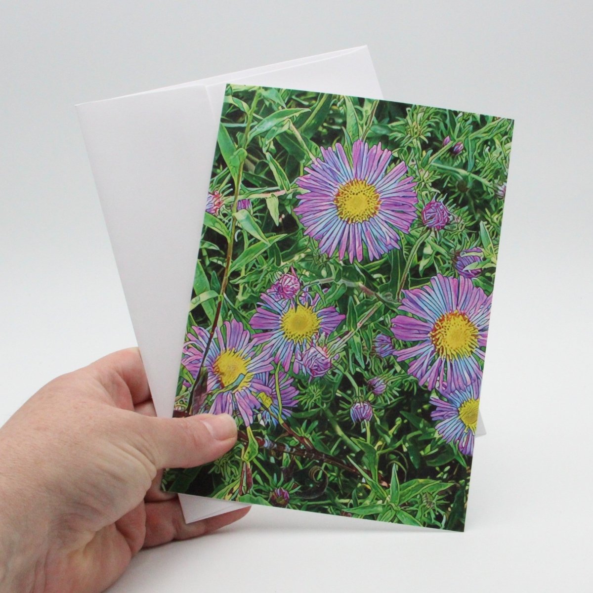 Purple New England Aster Flowers, Blank Greeting Card, North American Native Plant