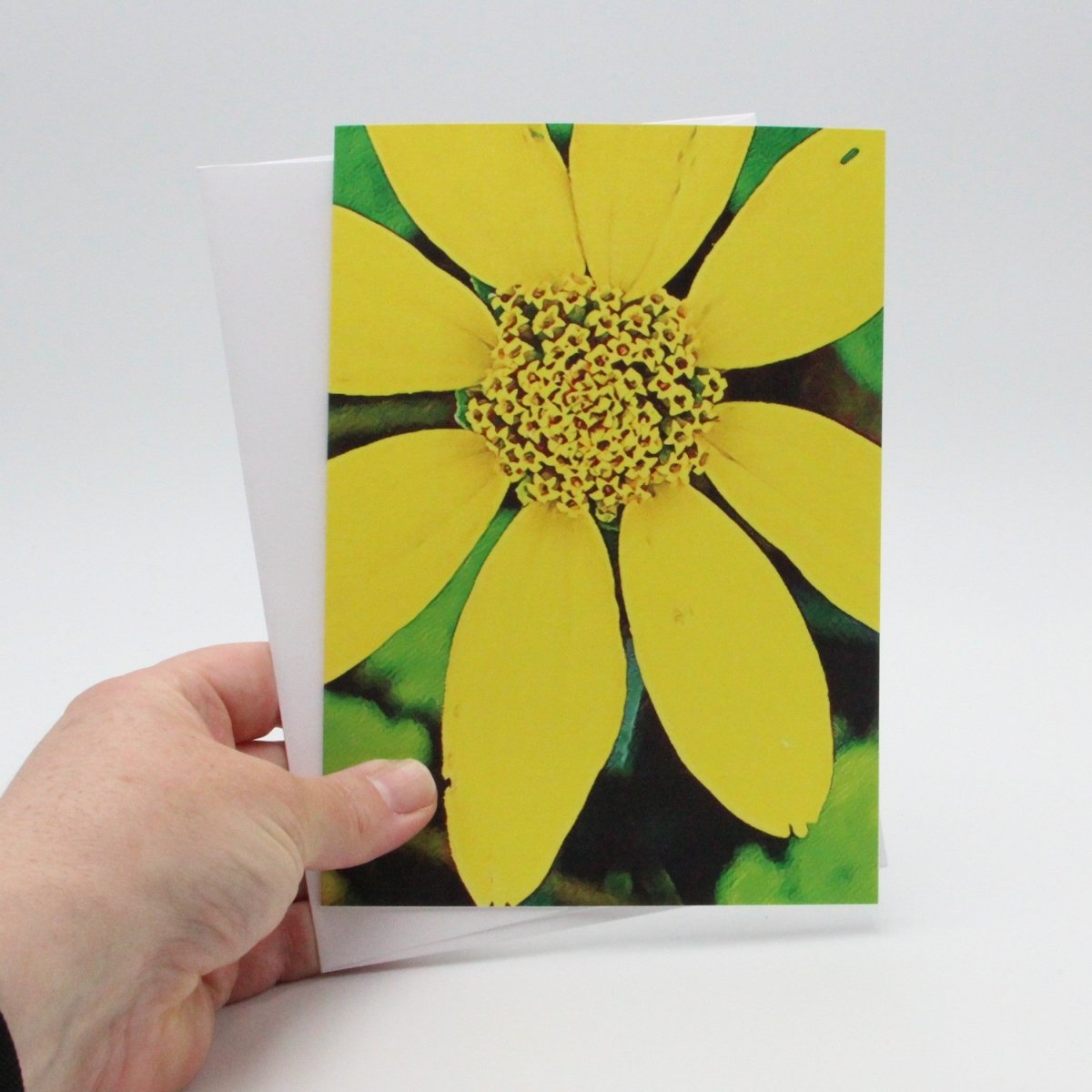 Yellow Threadleaf Coreopsis Flower, Blank Greeting Card, North American Native Plant