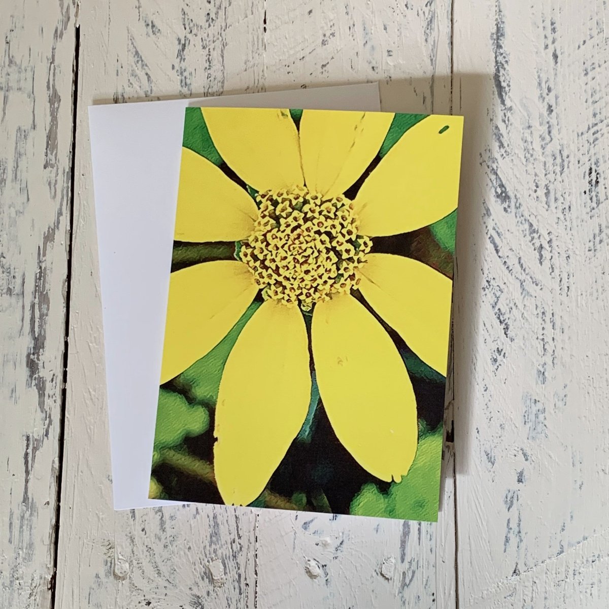 Yellow Threadleaf Coreopsis Flower, Blank Greeting Card, North American Native Plant